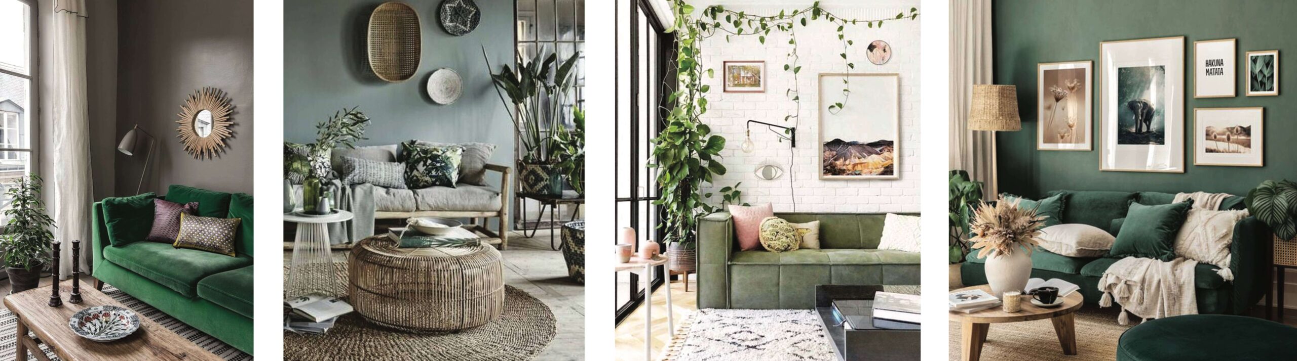 Salon - le Vert en décoration